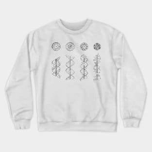 A-,B-,C- and Z-DNA Crewneck Sweatshirt